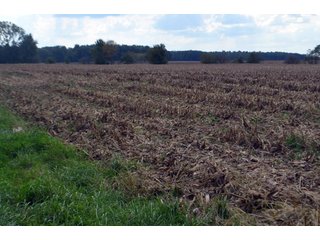 Property photo 60 - EHLE FARMS AUCTION - 118+/- ACRES IN 9 TRACTS IN ALLEN COUNTY, INDIANA